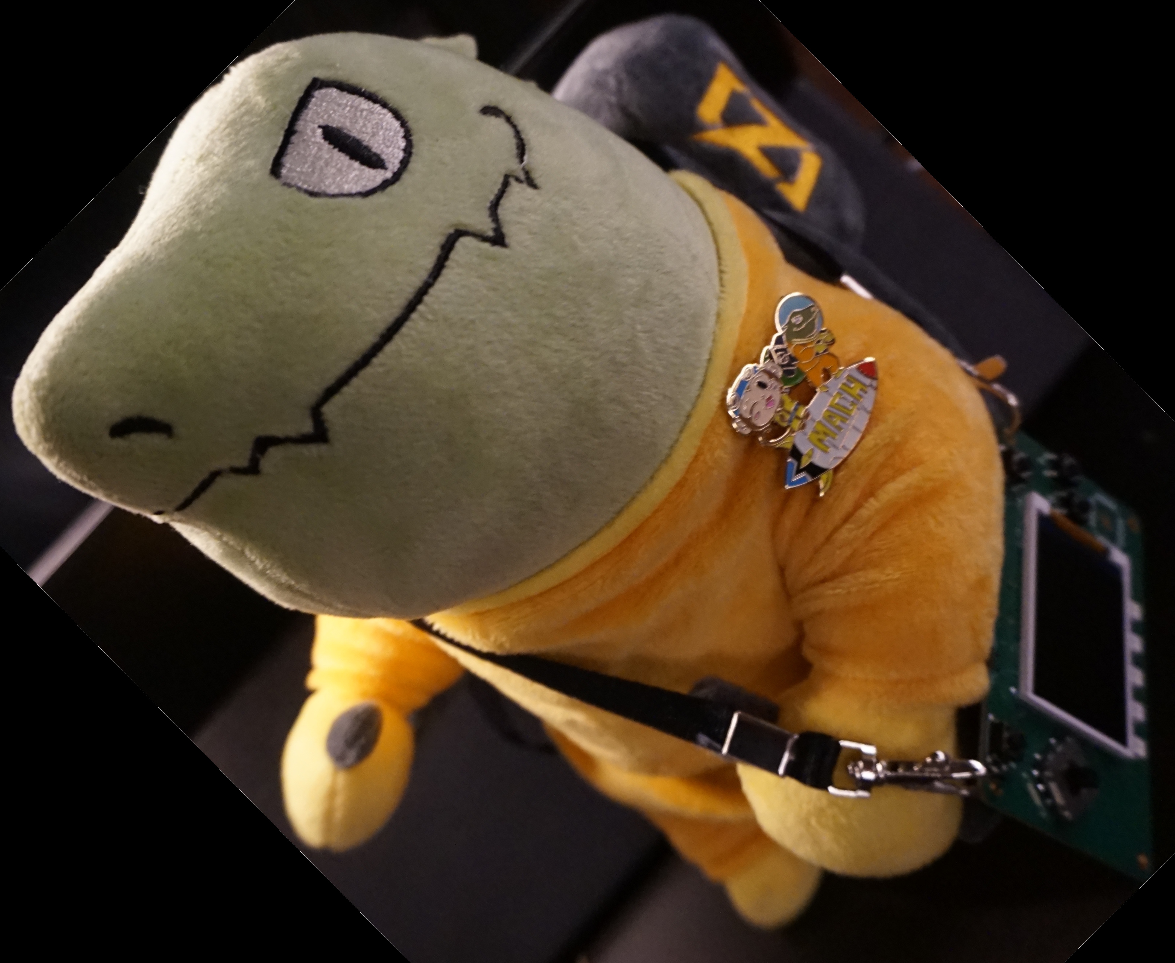 image from Zig thoughts